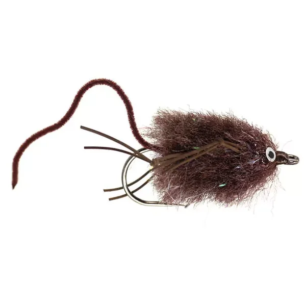 Silvermans Mouse - Brown rata raton