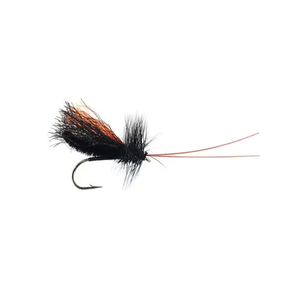 Slickwater Caddis - Black 14 mosca seca