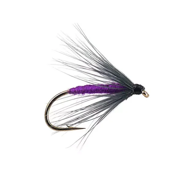 Snipe And Purple mosca agohada