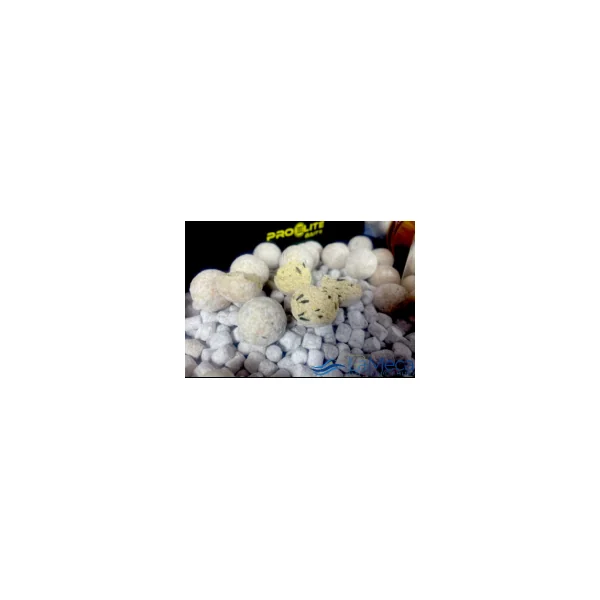 SPECIAL EDITION SESSION PACK WHITE - Imagen 2