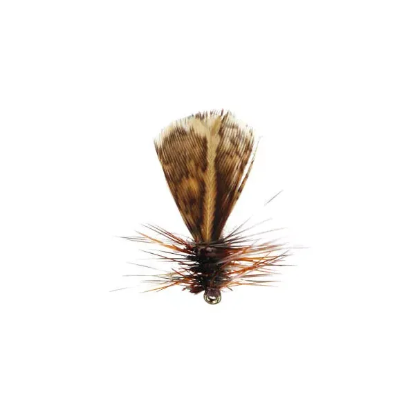 Spent Partridge Caddis mosca seca - Imagen 2