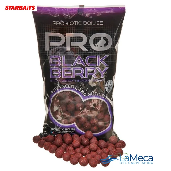 STARBAITS PROBIOTIC BLACKBERRY BOILIE 14 mm