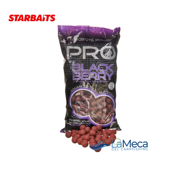 STARBAITS PROBIOTIC BLACKBERRY BOILIE 20 mm