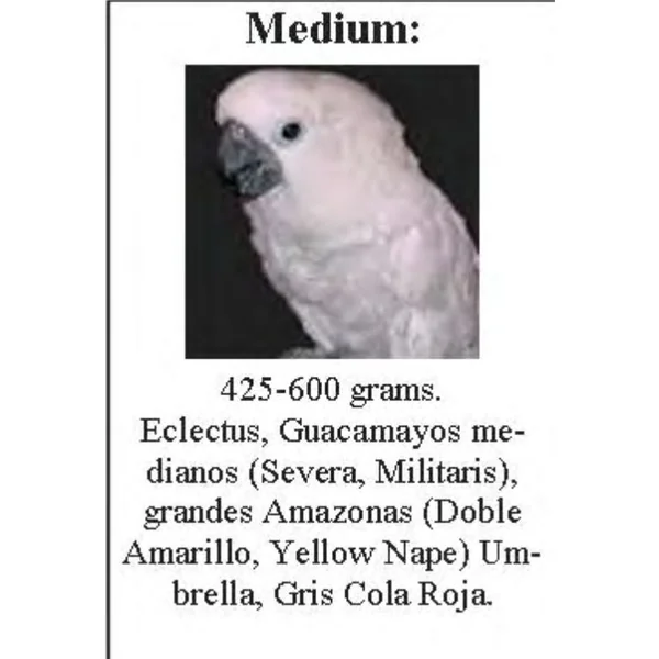SUN PARROTS ARNES MEDIUM LOROS