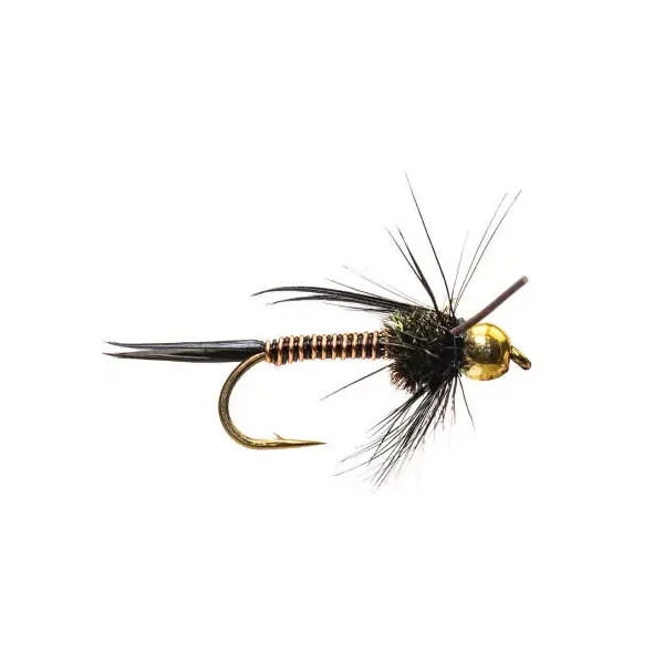 TG Black Prince ninfa tungsteno