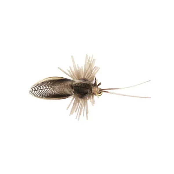 Tims Natural Caddis Fly mosca seca - Imagen 2