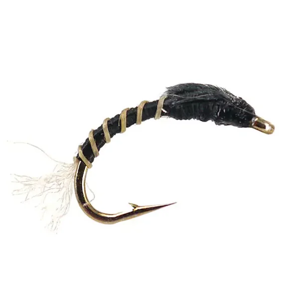 Toms Mosquito Buzzer ninfa