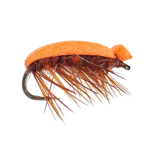 Tonis Orange Foam Beetle escarabajo
