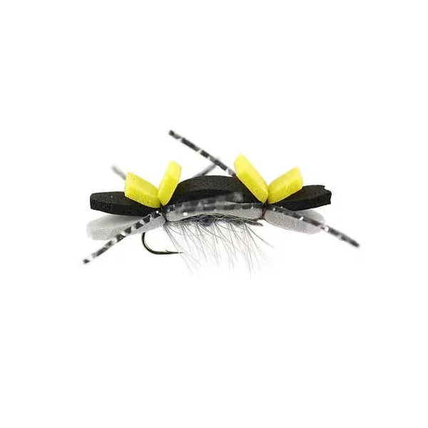 Tschernobyl Ant Grey saltamontes
