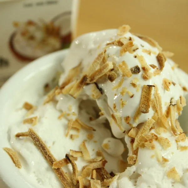 V'gan Fruit Helado de Coco Crunch 500ml - Imagen 3