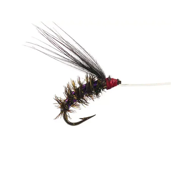 Wooly Peacock Violet ninfa para cuerda