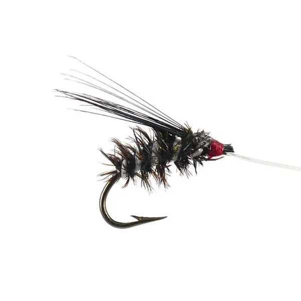 Wooly Peacock White ninfa para cuerda