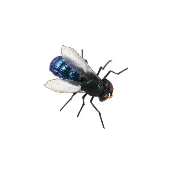 X-true Blue Fly abeja avispa mosca