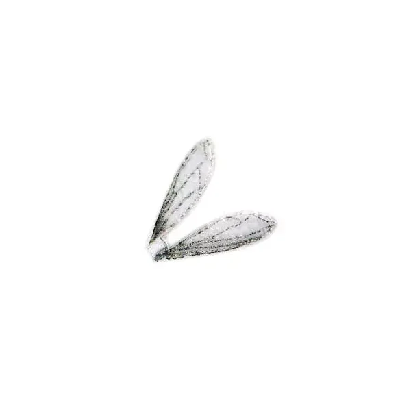 X-TRUE TERRESTRIAL WINGS hotfly - 10 pc.