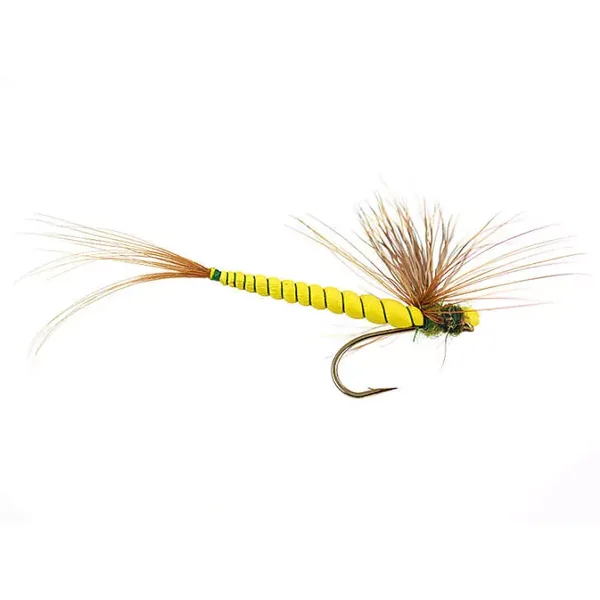 Yellow May Fly mosca seca