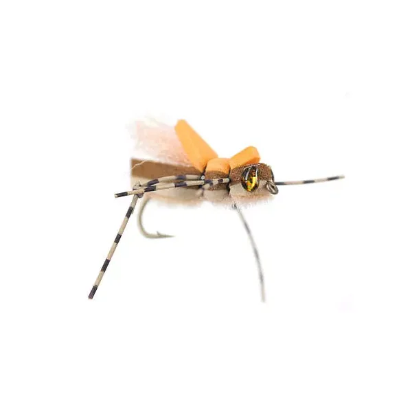 Yeti Hopper - Peach saltamontes - Imagen 2